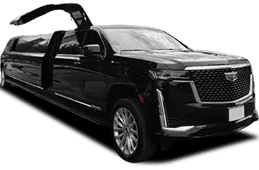Stretch Limousine 16P